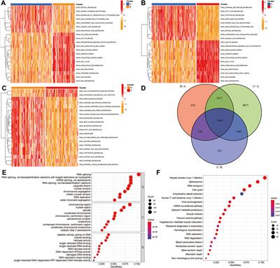 The Prognostic Significance and Potential Mechanism of Ferroptosis-Related Genes in Hepatocellular Carcinoma